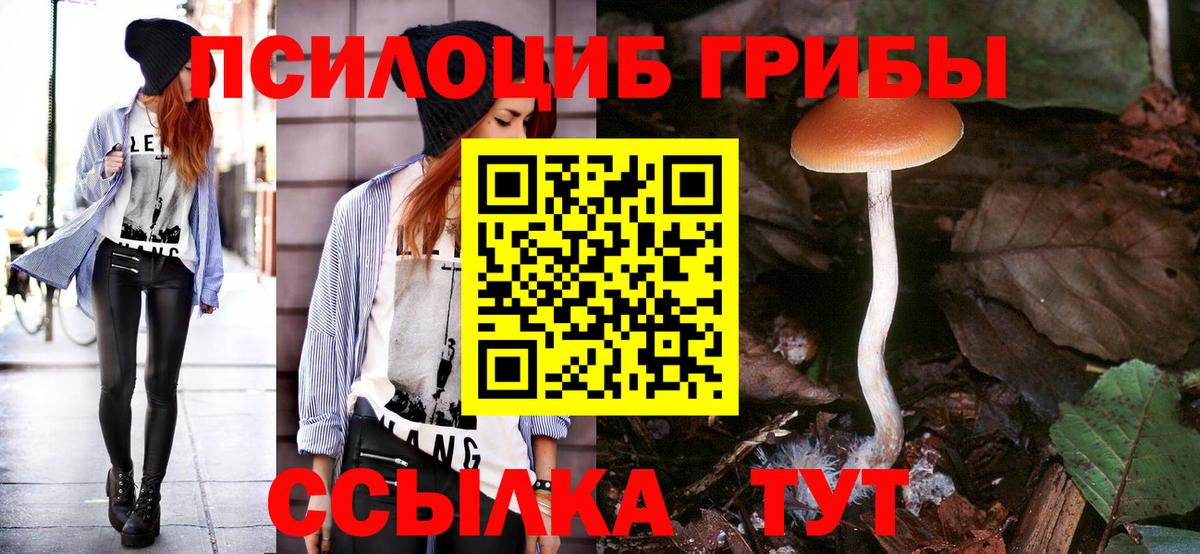 Камень-на-Оби  Галлюциногенные грибы Cubensis  Вход с VPN 